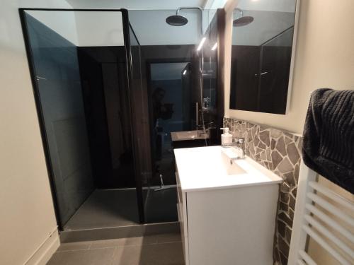 a bathroom with a shower and a sink and a mirror at Le Naturel Clim, wifi, centre in Châteauroux