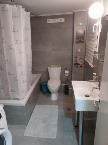 a bathroom with a toilet and a sink at Vasiliki's place in Karditsa