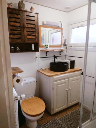 ein Badezimmer mit einem WC, einem Waschbecken und einem Spiegel in der Unterkunft La Maisonnette de Suzette in Port-sur-Saône