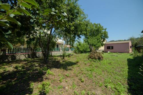 a yard with trees and a house in the background at Mary's Garden House in Peroulades