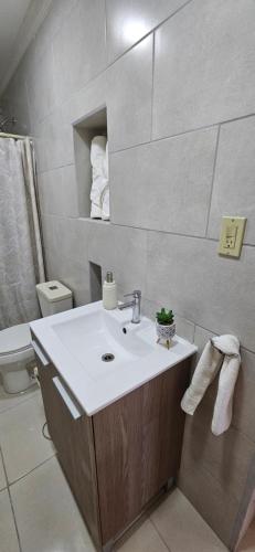 a bathroom with a sink and a toilet at Suites Los Corcho Aeropuerto in Tapia Número Dos