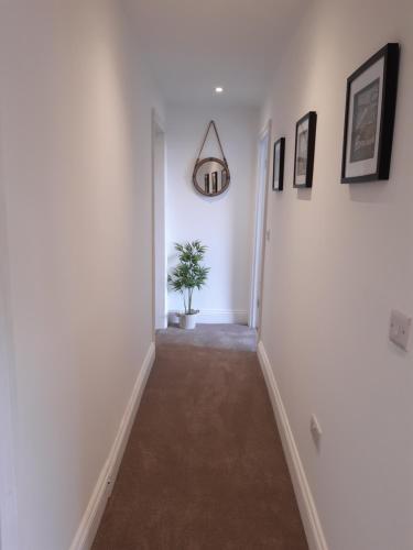 a hallway with white walls and a potted plant at Seasalt Loft in Barmouth