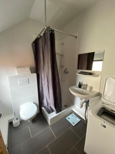 a bathroom with a shower and a toilet and a sink at Aurich City Loft in Aurich