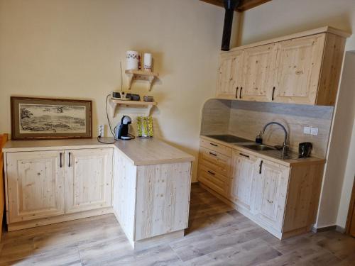 a kitchen with wooden cabinets and a sink at Stari mlin Franja/Old Mill Franja in Šentrupert