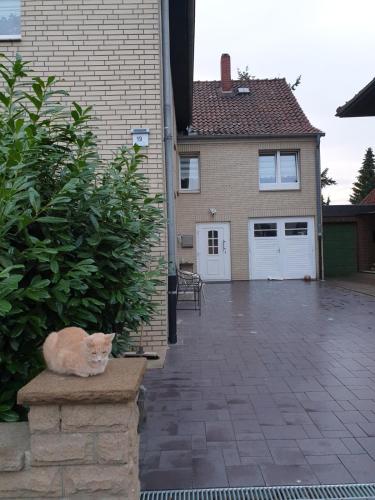 a cat sitting on a bench in front of a house at Home Sweet Klein ilsede in Ilsede
