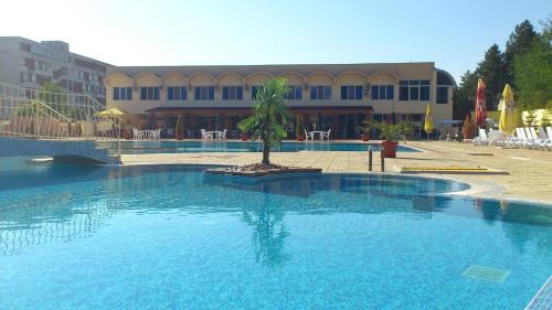 a large swimming pool with a tree in the middle at Hotel Mimoza in Razgrad