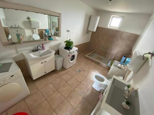 ein Badezimmer mit einem Waschbecken, einem WC und einem Spiegel in der Unterkunft Glamping Sajlovo in Novi Sad