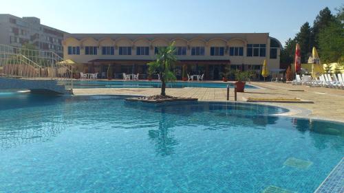 a large swimming pool with a palm tree in front of a building at Hotel Mimoza in Razgrad