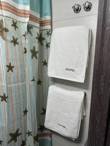 a bathroom with two towels and a shower curtain at Calypso Seaside Apartment in Paleo Tsifliki
