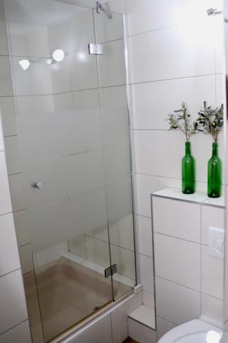 - Baño con ducha de cristal y 2 botellas verdes en Drei Linden Siedlung en Wolfenbüttel