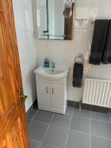 a bathroom with a white sink and a mirror at Padua Guest Accommodation Rosslare in Rosslare
