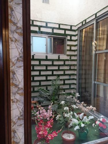 a window with flowers and plants on a balcony at One bedroom flat available for month in al qasmiyah in Sharjah