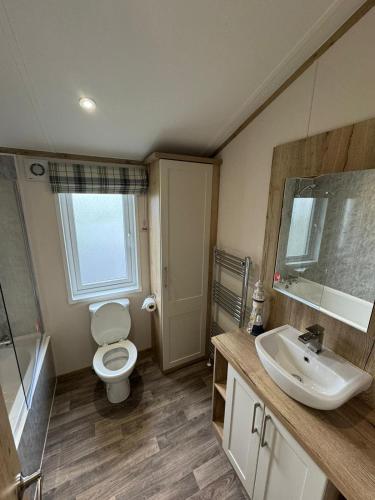 a bathroom with a toilet and a sink and a mirror at Golden Anchor - The Oakland Lodge - Coastal Caravan Breaks in Chapel Saint Leonards