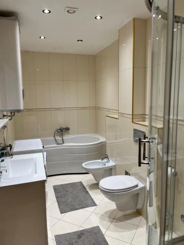 a bathroom with a toilet and a sink and a tub at Blue lagoon apartment Przno in Budva
