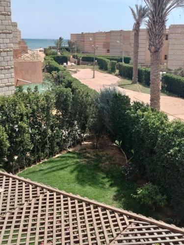 uitzicht op een tuin met palmbomen en gras bij العين السخنة in Ain Sokhna
