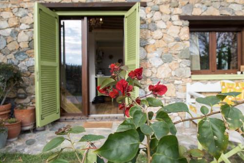 Country House Spitaki Γραφείο