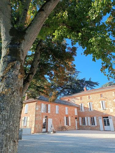 a large tree in front of a brick building at Le Jardin Des Cèdres in Lavaur