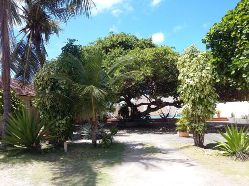 Taman di luar Pousada Pé de Caju