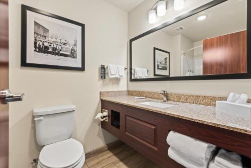a bathroom with a toilet and a sink and a mirror at Cobblestone Hotel & Suites - Cullman in Cullman