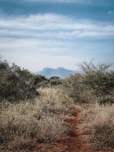 a dirt road in the middle of a field at Umkhaya lodge in Mkuze