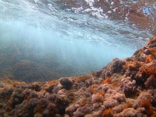 a body of water next to a reef at Bilocale panoramico “Lo sguardo” in Massa Lubrense