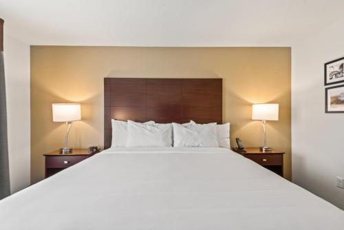a hotel room with a large bed with two lamps at Cobblestone Hotel & Suites - Cullman in Cullman