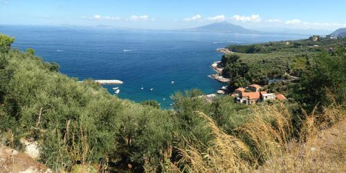 a view of the ocean from a hill at Bilocale panoramico “Lo sguardo” in Massa Lubrense