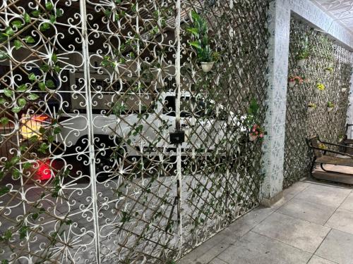 Taman di luar Casa do Meio Pousada