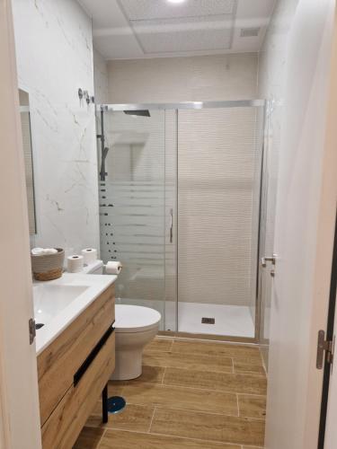 a bathroom with a shower and a toilet and a sink at Apartaments Mariña A5 in Redondela