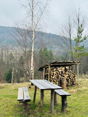 a picnic table and a pile of fire wood at Widokowe Stodoły in Chyszówki