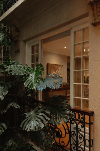 a balcony with plants in front of a window at Nima Local House Hotel & Spa in Mexico City