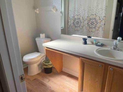 a bathroom with a sink and a toilet and a mirror at Vashay's Lovely vacation pad at Disney in Davenport