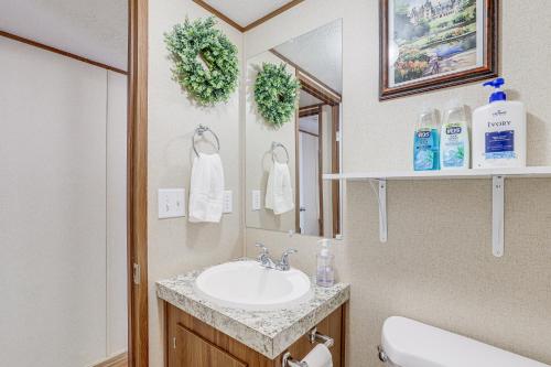 een badkamer met een wastafel en een spiegel bij Pet-Friendly Home about 5 Mi to Blue Ridge Parkway! in Asheville