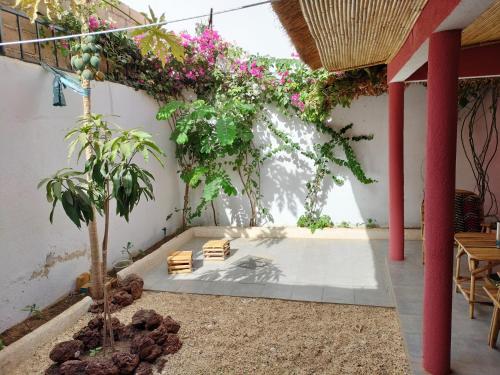 a courtyard with flowers and plants on a wall at Ker Vento in Rufisque