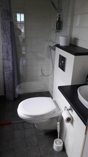 Koupelna v ubytování Grímstunga Guesthouse Hólsfjöll
