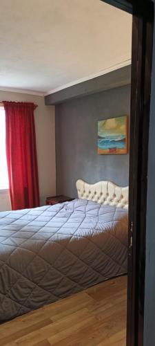 a bedroom with a bed and a red curtain at Luana in Río Cuarto