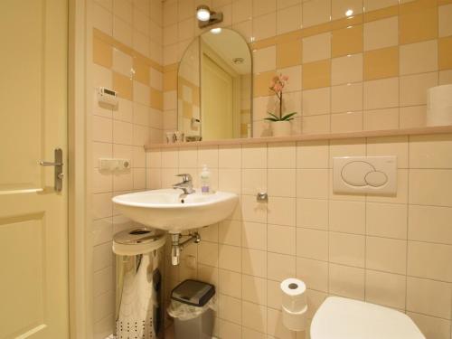 La salle de bains est pourvue d'un lavabo, de toilettes et d'un miroir. dans l'établissement Vrijzicht, à Zuidwolde