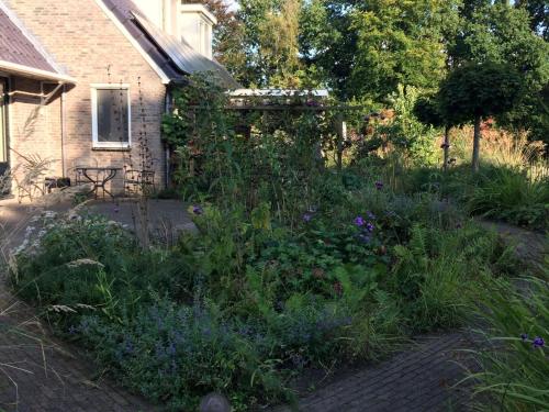 a garden with purple flowers in front of a house at Vrijzicht in Zuidwolde