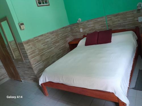 - une chambre avec un lit blanc et des oreillers rouges dans l'établissement Hospedaje Ibera, à Colonia Carlos Pellegrini