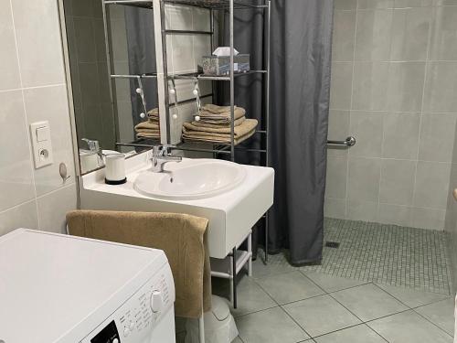 La salle de bains est pourvue d'un lavabo et d'une douche. dans l'établissement Gîte Château-Thébaud, 3 pièces, 4 personnes - FR-1-306-808, à Châteauthébaud