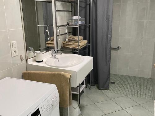 une salle de bain avec un lavabo et une douche dans l'établissement Gîte confortable au cœur des vignes avec terrasse, vélos, WiFi et équipements bébé à 17 km de Nantes - FR-1-306-808, à Châteauthébaud