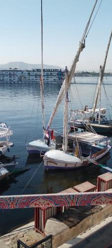 a group of boats are docked in the water at Felucca.sailing.Boat in Luxor