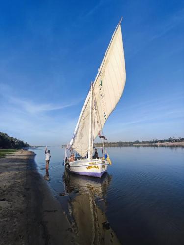 a man standing on a beach with a sail boat on the water at Felucca.sailing.Boat in Luxor