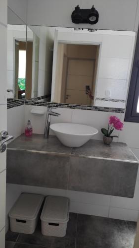 baño con lavabo y espejo grande en Llevarte a vivir en San Rafael