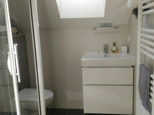 une salle de bain avec un lavabo et des toilettes dans l'établissement Maison rénovée près de la plage avec jardinet et wifi - FR-1-485-4, à Les Sables-dʼOlonne