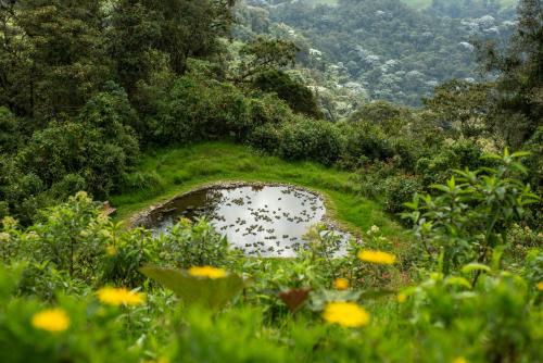 a pond in the middle of a field with flowers at Owl's Watch at Rio Blanco in Manizales