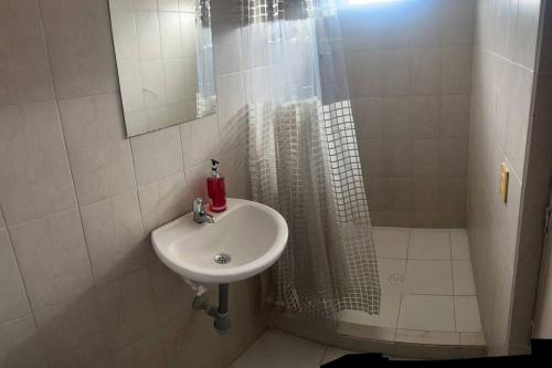 ein Bad mit einem Waschbecken und einer Dusche in der Unterkunft Apartaestudio con Baño y Cocina Apto para Mascotas in Pereira