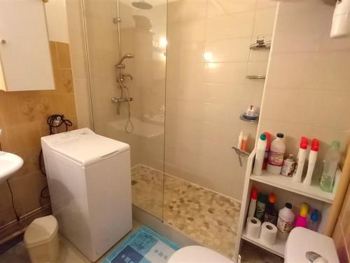 une salle de bain avec une douche, des toilettes et un lavabo dans l'établissement Studio cosy proche plage et commerces, parking inclus - FR-1-323-528, à Saint-Jean-de-Monts