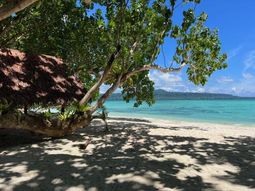 a view of a beach with a tree and the ocean at Lapita Beach Aore Island Vanuatu in Luganville