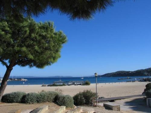 - une vue sur la plage avec un arbre et l'océan dans l'établissement Appartement 4 couchages à 350m de la plage avec garage privatif à Bormes-les-Mimosas - FR-1-251-725, à Bormes-les-Mimosas